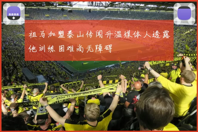 祖马加盟泰山传闻升温媒体人透露他训练困难尚无障碍